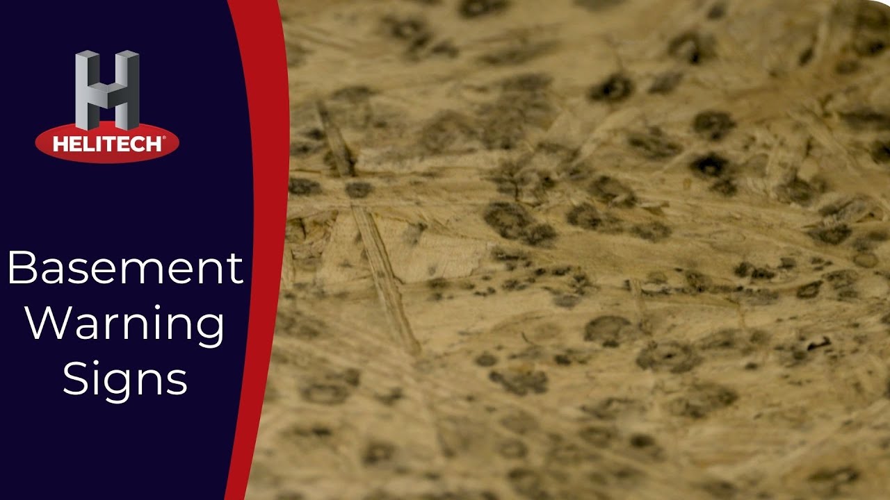 Basement Waterproofing Warning Signs - YouTube
