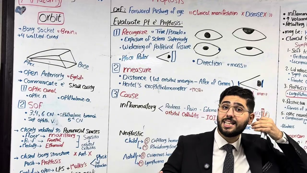Crash course protective system of the eye (Orbit)