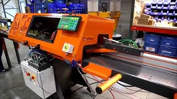TigerSaw1000 Crayon Defect Marking & Optimizing Crosscut Saw System