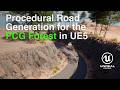 Procedural Road Generation for the PCG Forest in UE5 - Part 3