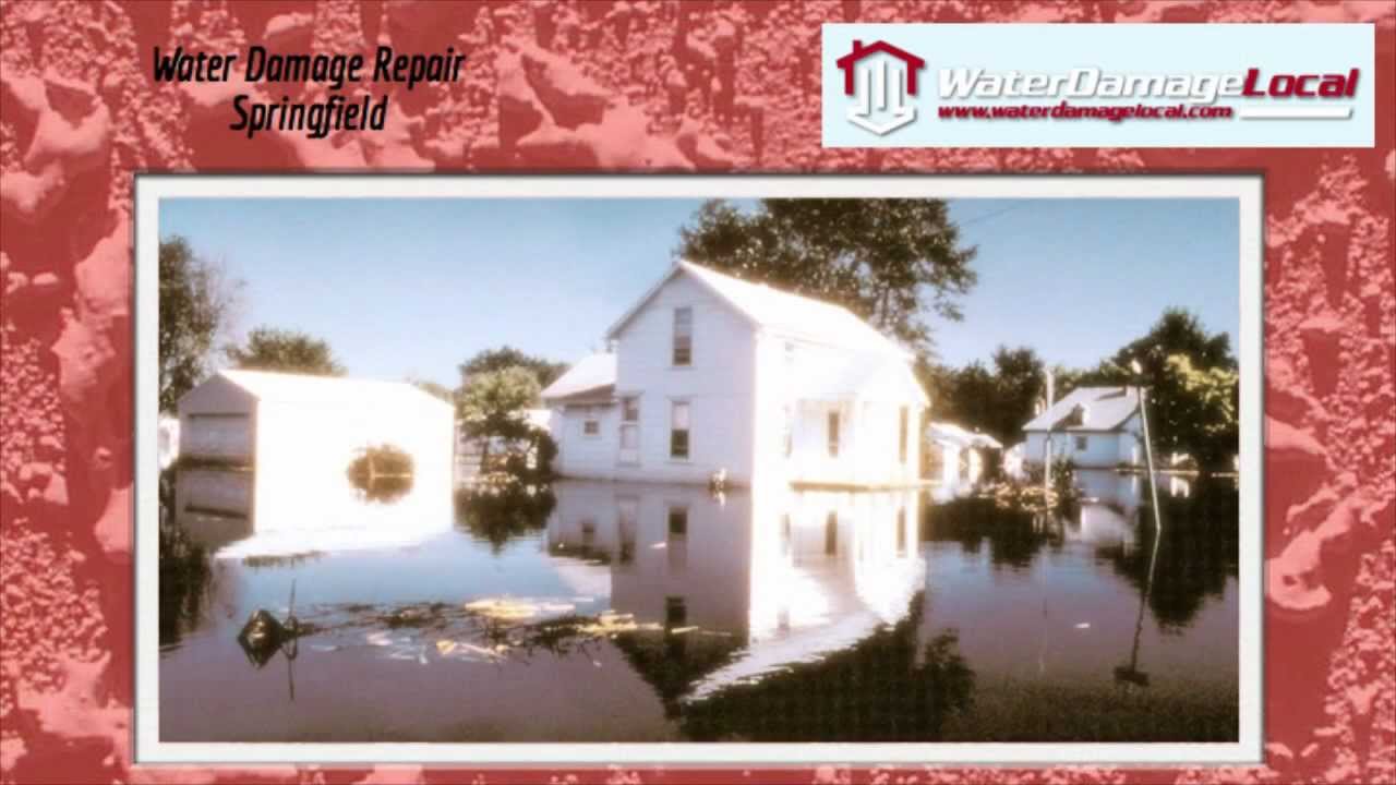 Water Damage Repair Springfield ~ Mold Removal
