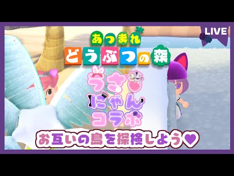 【あつ森 | うさにゃんコラボ】お互いの島を冒険しよう💜