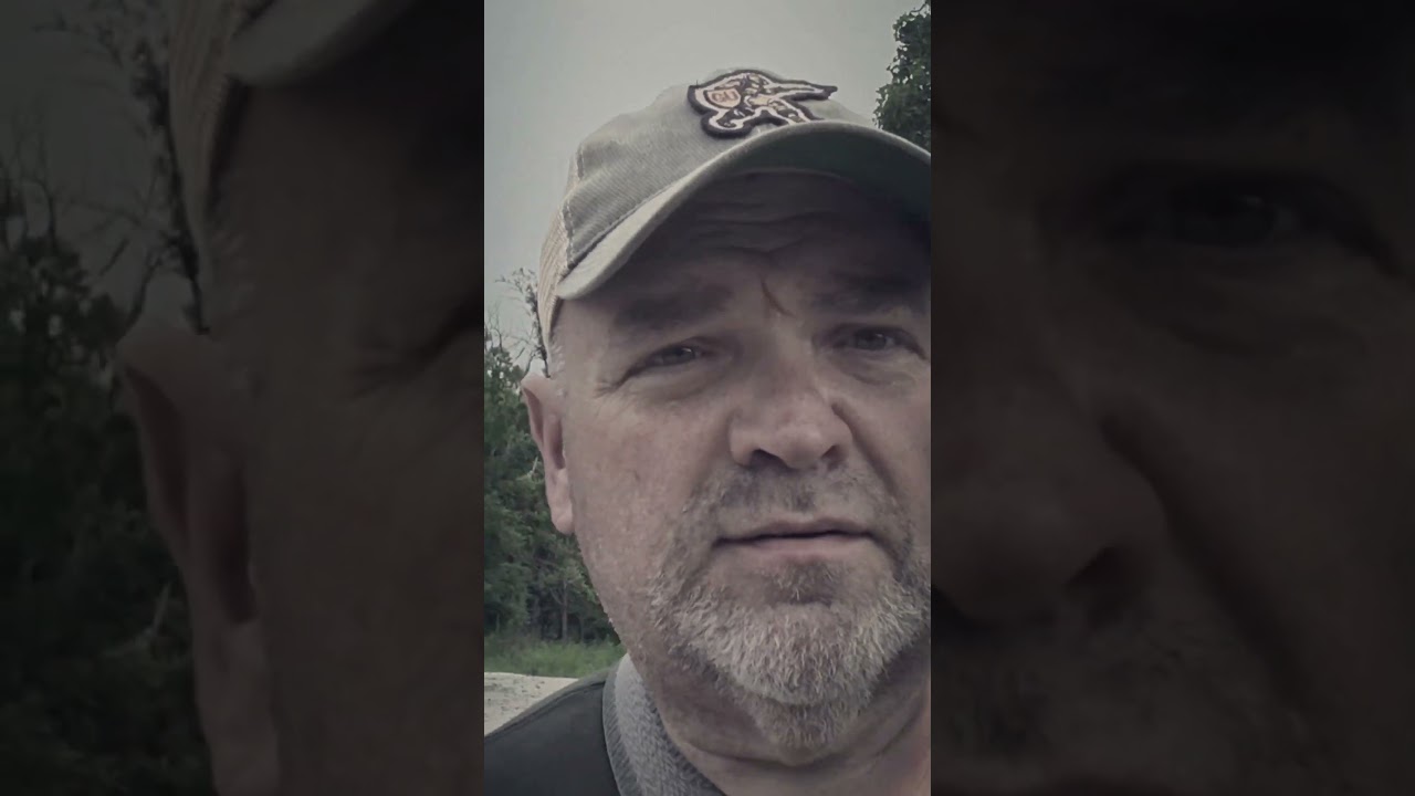 Discovering the Ebony Jewelwing Damselfly on a Nature Hike