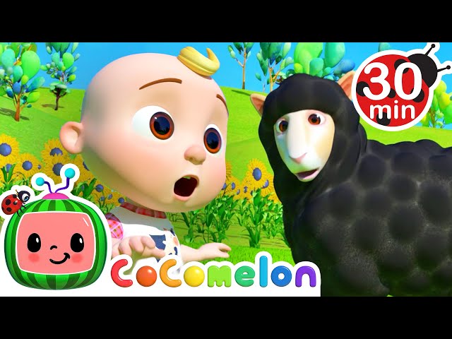 [ 30 MIN LOOP ] Baa Baa Black Sheep🐏 | Learn u0026 Sing Classics | CoComelon Nursery Rhymes u0026 Kids Songs class=