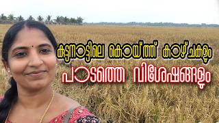 കടടനടടല കയതത കഴചകൾ പടതത വശഷങങള Kuttanad Harvest Time