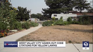 Yellow doesn’t mean dead: City warns of fines for not watering