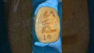 Thick And Fluffy Suds