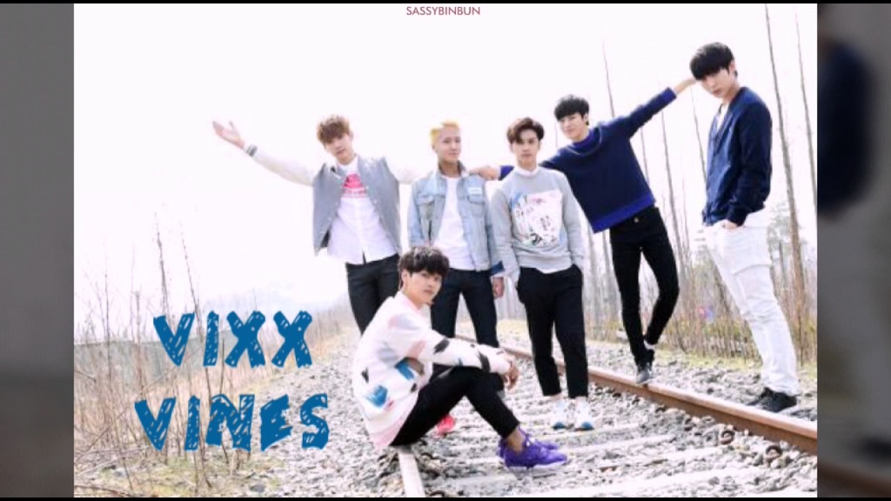 VIXX VINES