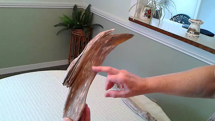 Drift wood by Annette bird