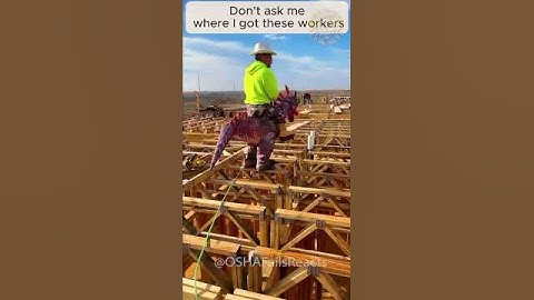 When Workers Make It Look Way Too Easy! 👏 #44 #Bella, #Construction, #Workers, #Fails, #Funny