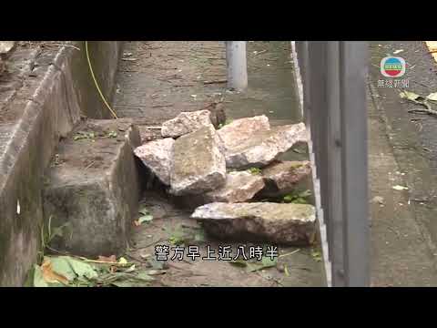 香港新聞 ｜無綫新聞｜03/09/23 要聞 ｜梨木樹一幅護土牆倒塌 有狗途經一度被困後壓傷｜TVB News