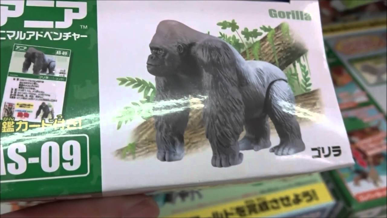 アニア アニマルアドベンチャー AS 09 ゴリラ 【Gorilla】 - YouTube