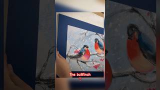 Bullfinch art by Ann M. #shorts