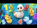 🐤 Five Little Ducks 🐤 | Kids Songs &amp; Nursery Rhymes | 3D Animation for Children