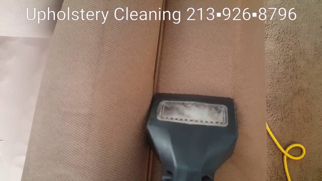 Los Angeles Carpet Cleaning Experts Cat Urine Removal Sofa Couch