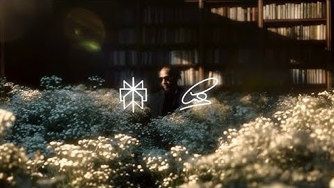 Perplexity x Lewis Hamilton