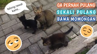 KALAU SUSAH BARU INGAT RUMAH