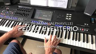 Big in Japan (Alphaville) cover played live by Pedro Eleuterio with Yamaha Genos Keyboard