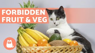 7 FRUITS and VEGETABLES Your CAT CAN'T HAVE