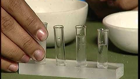 Sorting Materials into Groups Part 1