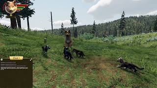 Wills Night Off: Return To Wolfquest