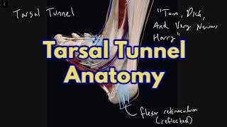 Tarsal Tunnel Anatomy - Tom, Dick, And Very Nervous Harry