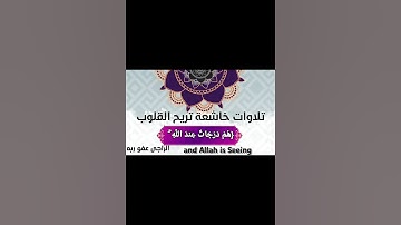 🌿 هم درجات عند الله… تلاوة مؤثرة بصوت ياسر الدوسري تلامس أعماق القلب 🤍