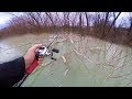 Most INSANE Fishing Day I've Ever Had! -- (MEGA Bass In Trees)