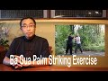 Basic practice teaching series 20 ba gua palm striking fa jin