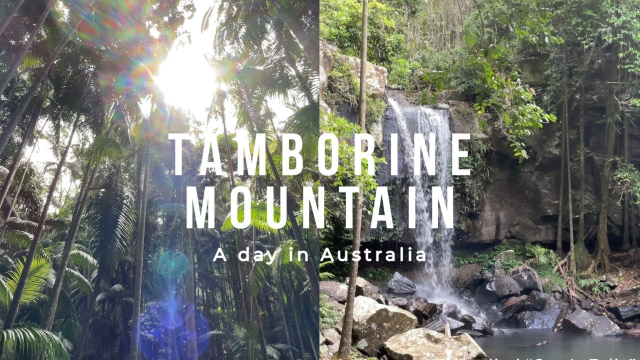 4 Australia🇦🇺 】A day in Australia / I went to Mt. Tambourine australia