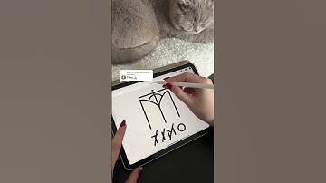 Timo | Procreate Logo Design #designprocess #adobeillustrator #procreate