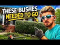 These Bushes needed to GO!