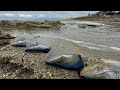WOULD YOU TOUCH THESE THINGS? 😱 &amp; HUGE CREEK BREAK! Wow! 😳
