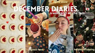 december diaries 🧸 | holiday shopping, gingerbread houses & lights show