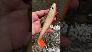 Pike Fishing Swimbait - Waterwolf Lures #averageontarioanglers #pikefishing
