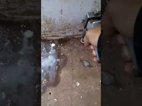 Video: Bisakah Anda menyemprot rayap tanah?