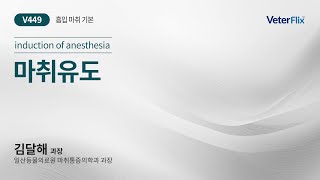 [베터플릭스][흡입 마취 기본] 마취유도(Induction of anesthesia)