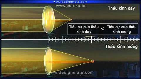 [Kiến thức cuộc sống] Thấu kính | Giáo dục số | VsionGlobal