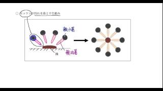 ｢エステル｣講義７：高校化学解説講義