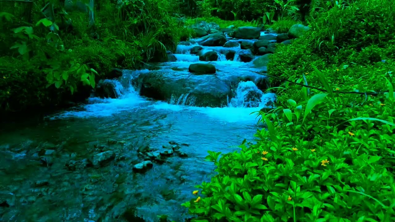 1. Relaxing River Ambience for Deep Sleep