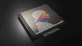 Avicii - True Believer (Instrumental)