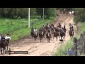 Cabalgata Criolla a la localidad de Calvo