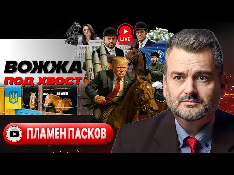 🪸Декорация ультиматума Трампа: