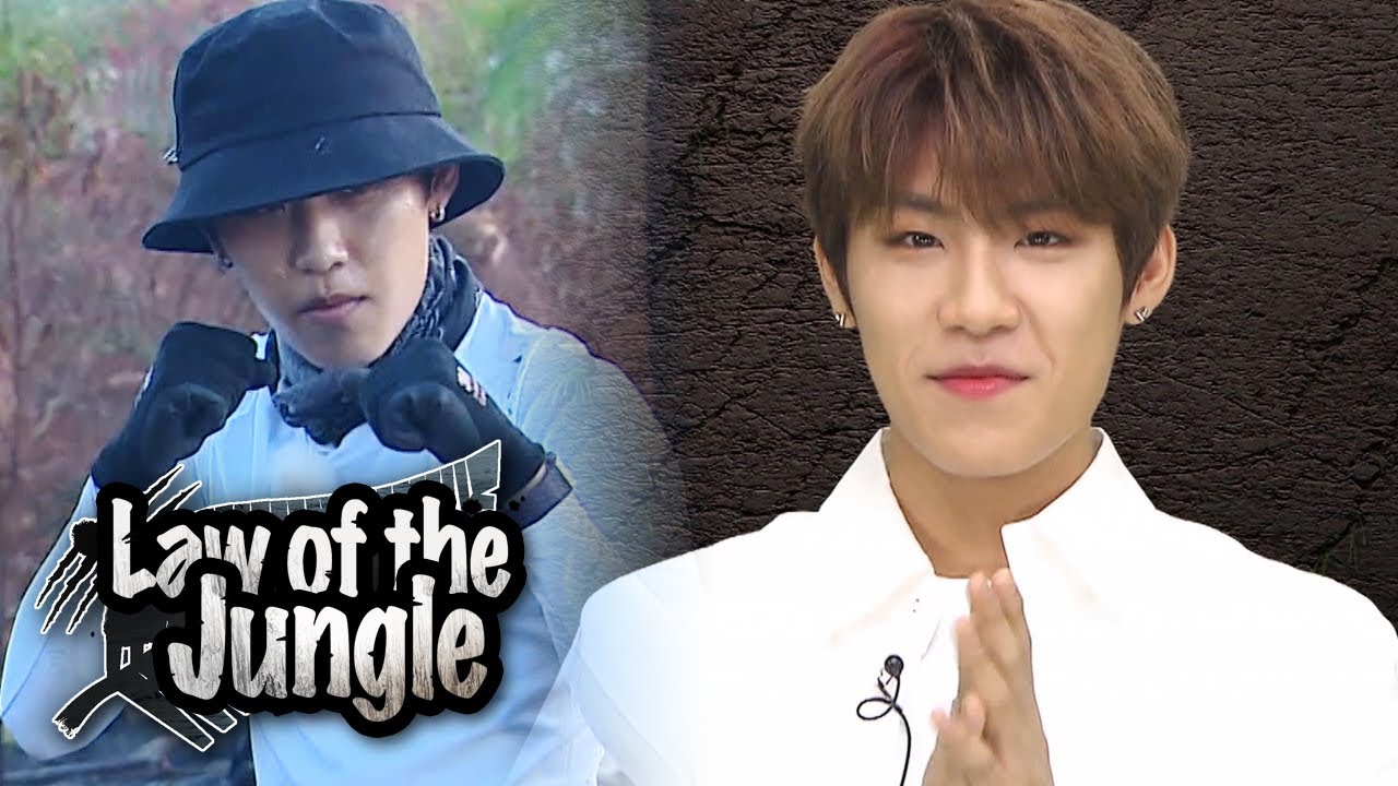 law of the jungle jin episode