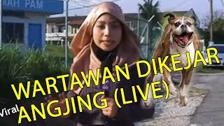 Bila wartawan ntv7 dikejar anjing sewaktu menjalankan tugasan. Huru hara!