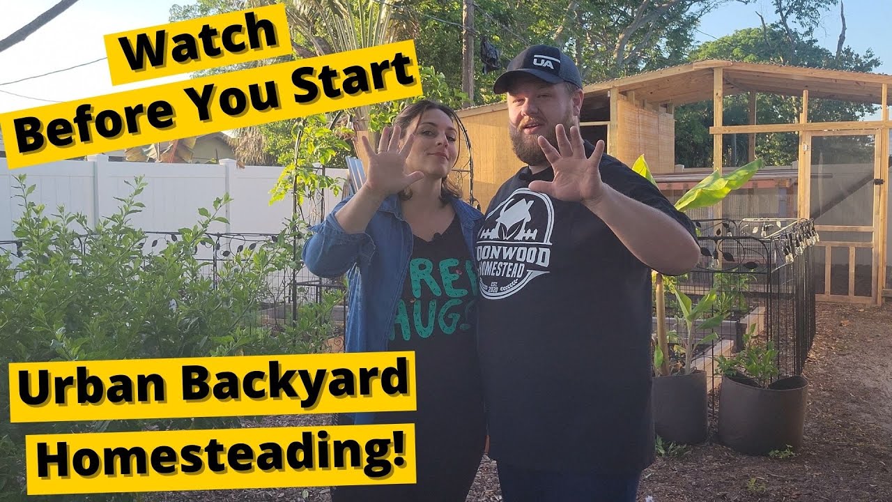 5 Things We Wish We Knew Before Beginning Our Backyard Urban Homestead!