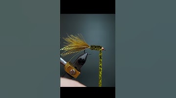 Popular pattarn Woolly Bugger #shorts #flytyingaddict #flytying