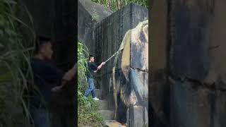 Bear Painting In Jungle On Wall In A Net.