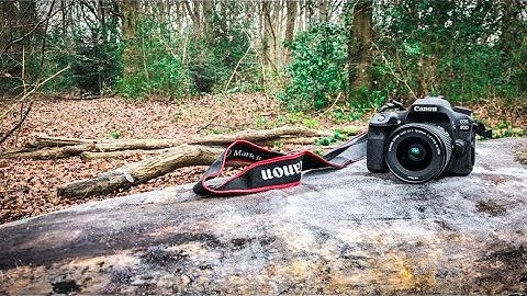 Canon 80D 8 months later - filmed with iPhone 7 Plus in 4K