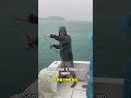 Bottom fishing technique Part 2 #fishingtips #bottomfishing #fishingcharter